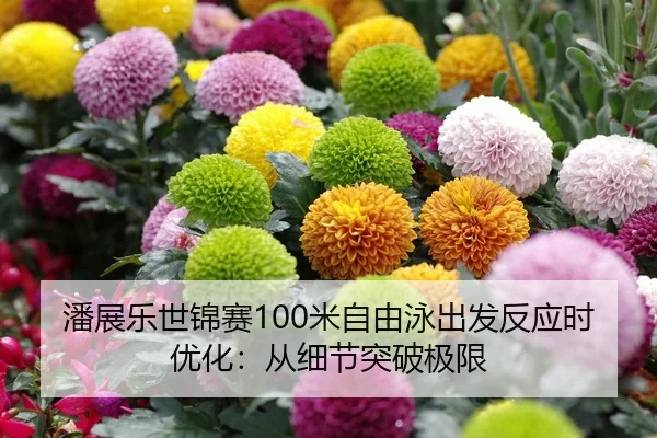 潘展乐世锦赛100米自由泳出发反应时优化：从细节突破极限