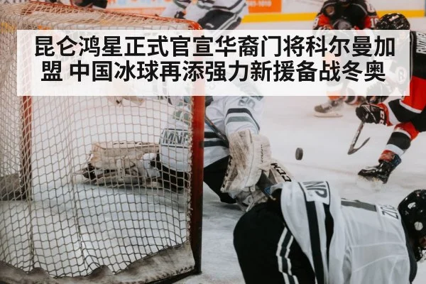 ice hockey goalie save