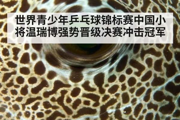 世界青少年乒乓球锦标赛中国小将温瑞博强势晋级决赛冲击冠军